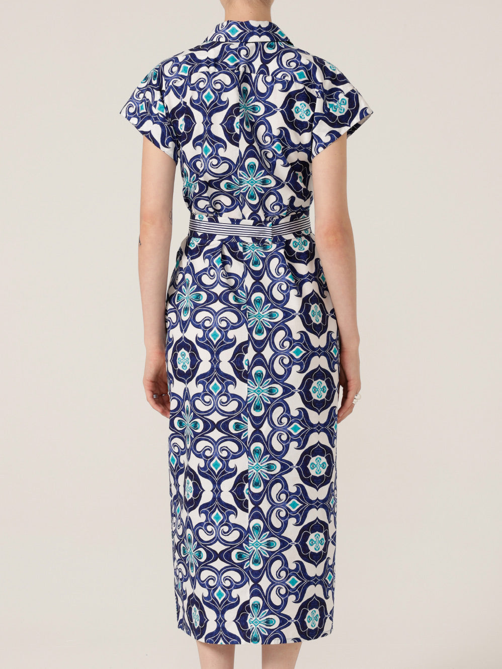 SACHA DRAKE TREE SWALLOW SHIRTMAKER DRESS